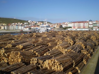 Timber in Port